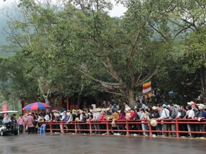 Tam Dao tourist area offers free wifi service